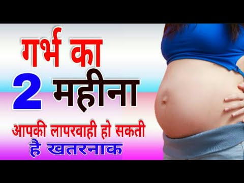 गर्भावस्था का दूसरा महीना